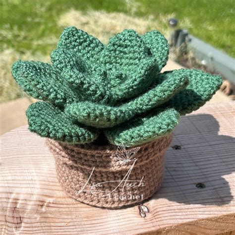 amigurumi succulent pattern free