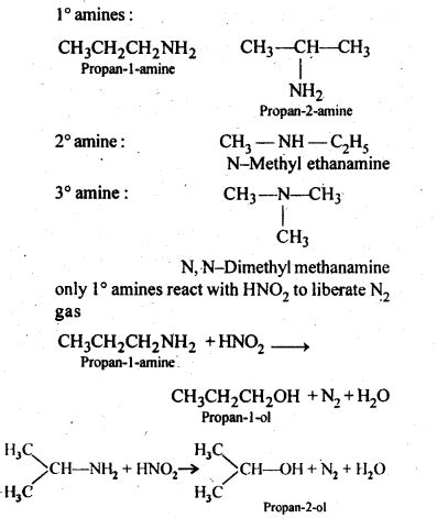 Amines Ncert Solutions