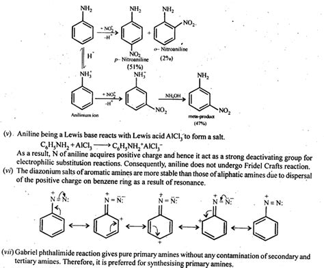 Download Amines Chapter In Organic Chemistry Ncert 