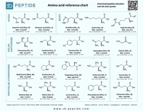 Amino Acid Table