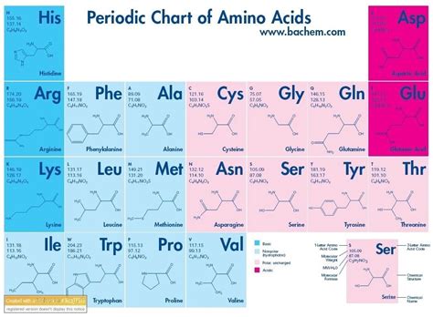 Amino Acids Chart