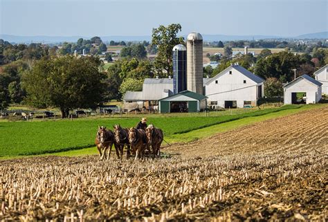 Amish Society