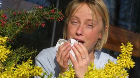 amming allergi