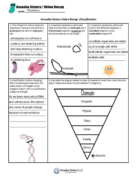 Amoeba Sisters Classification Answer Key