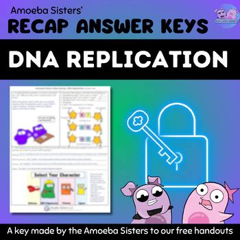 Amoeba Sisters Dna Replication Answer Key