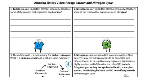 Amoeba Sisters Video Recap Carbon And Nitrogen Cycle The Nitrogen Cycle Worksheet Answer Key - The Nitrogen Cycle Worksheet Answer Key