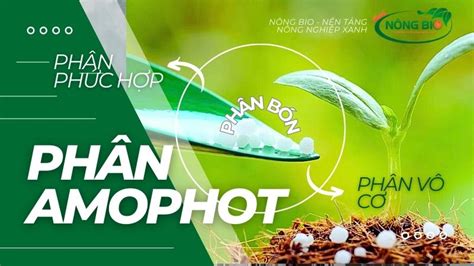 amophot | Cng thc ho hc ca amophot mt