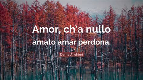 Read Online Amor Cha Nullo Amato Amar Perdona Raccolta Damor Poetico 