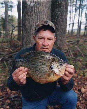 amos gay shellcracker