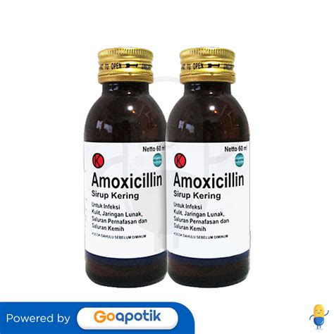 amoxicillin kegunaan