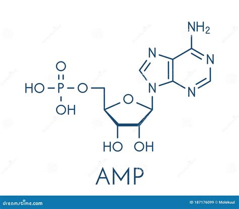 Amp Molecule