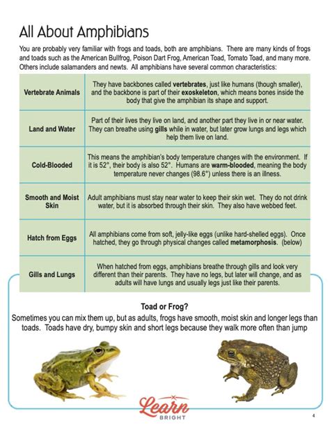 Amphibians Free Pdf Download Learn Bright 2nd Grade Amphibians Worksheet - 2nd Grade Amphibians Worksheet