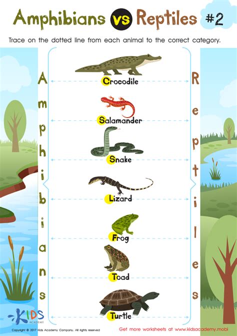 Amphibians Vs Reptiles Worksheet For 3rd Grade Free Reptiles Worksheets For Kindergarten - Reptiles Worksheets For Kindergarten