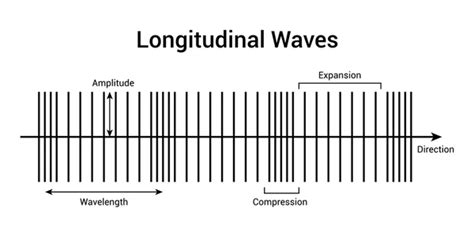 Amplitude Of A Longitudinal Wave
