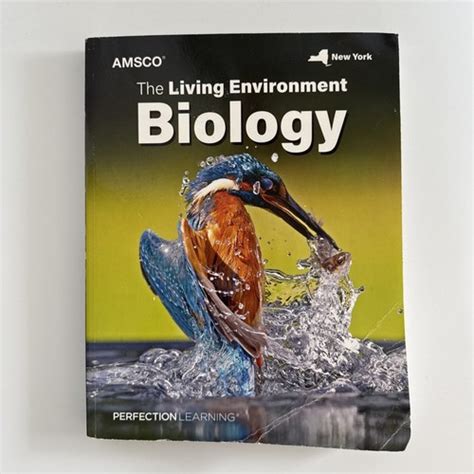 amsco living environment