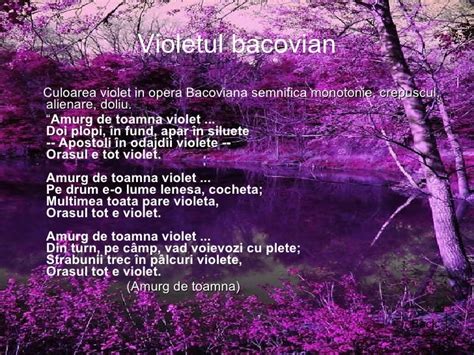 amurg de toamna violet poezie