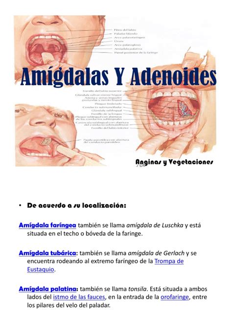 amygdala y adenoides pdf