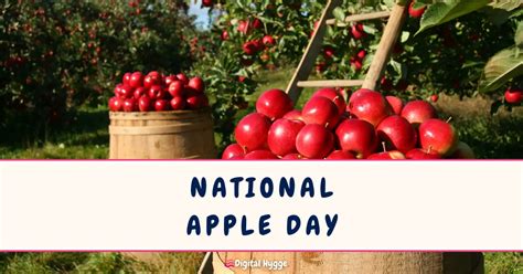 An Apple A Day A Memoir Of Love And Recovery From Anorexia