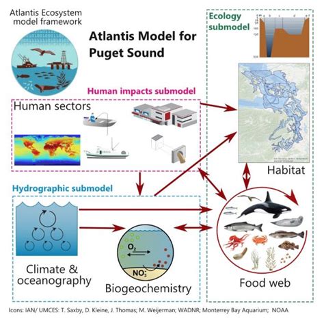 An Atlantis Ecosystem Model For The Gulf Of Mexico