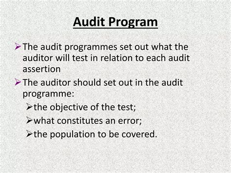An Audit Programme Is