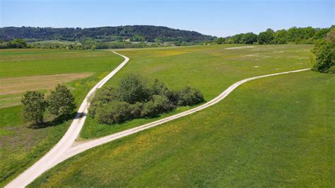 An Der Gabelung