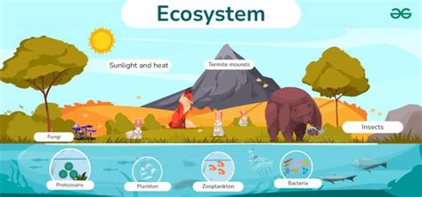 An Ecosystem Would Include All Of The Following Except