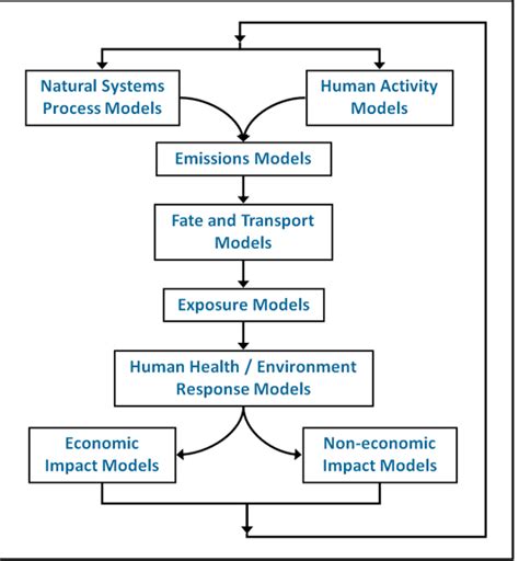 An Environmental Science Progression Model For Ks2 Using Bird Life Cycle Ks2 - Bird Life Cycle Ks2