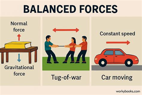 An Example Of Balanced Forces