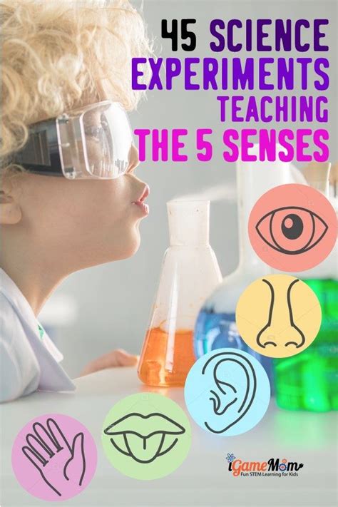 An Experiment With The Five Senses For Kids 5 Senses Science Experiment - 5 Senses Science Experiment