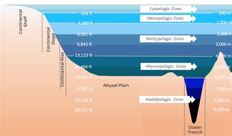 An In Depth Look At Meteors Meteoroids And Meteorites Their Origins Characteristics And Differences