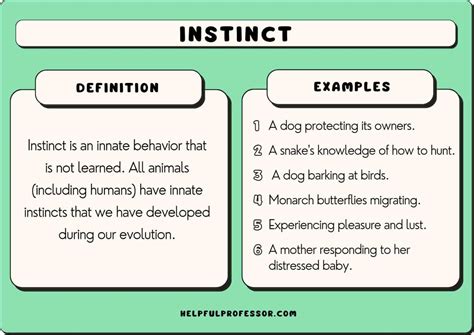 An Instinctive Behavior Is One That Is