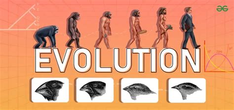 An Introduction To Biological Evolution