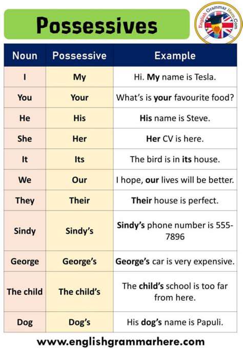 An Introduction To Possessive Pronouns With Examples Possession Writing - Possession Writing