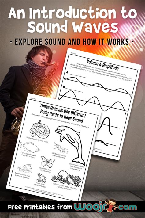 An Introduction To Sound Waves For Kids Woo Sound Waves Worksheet Middle School - Sound Waves Worksheet Middle School