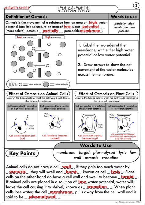 An Overview Of Osmosis Worksheets And How To Osmosis 7th Grade Worksheet - Osmosis 7th Grade Worksheet
