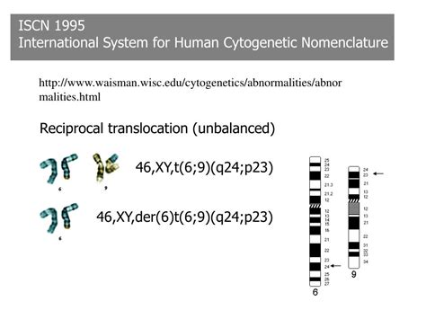 Read An International System For Human Cytogenetic Nomenclature 