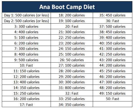 Ana Bootcamp Diet