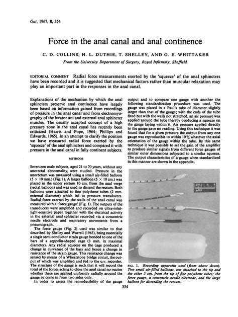 Anal By Force