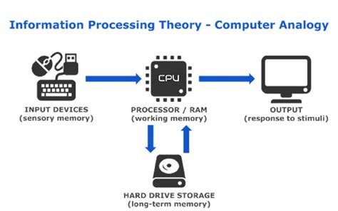 Analogy Of Computer