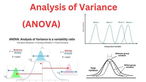 Analyse De La Variance Anova Math Univ Lyon1