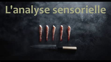 Full Download Analyse Sensorielle Institut De Recherche Et D 