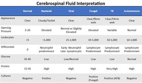 Analysis Of Cerebrospinal Fluid A Comprehensive Review Of The Formation Physiology Collection And Evaluation Of Csf