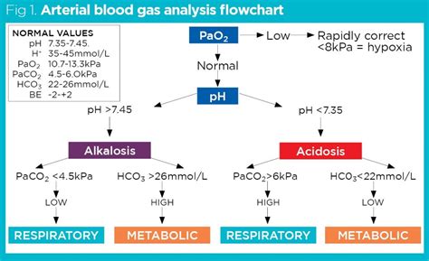 Analysis Of Gas Flow And Mixing In A Rotary Kiln Waste