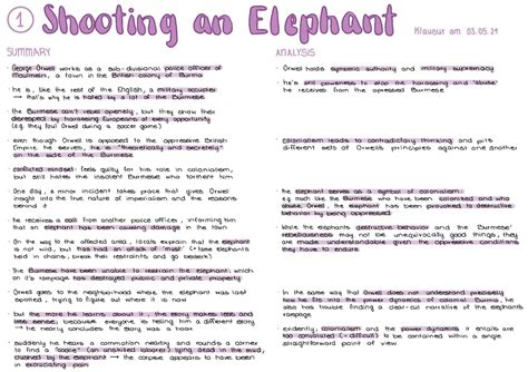 Analysis Shooting An Elephant