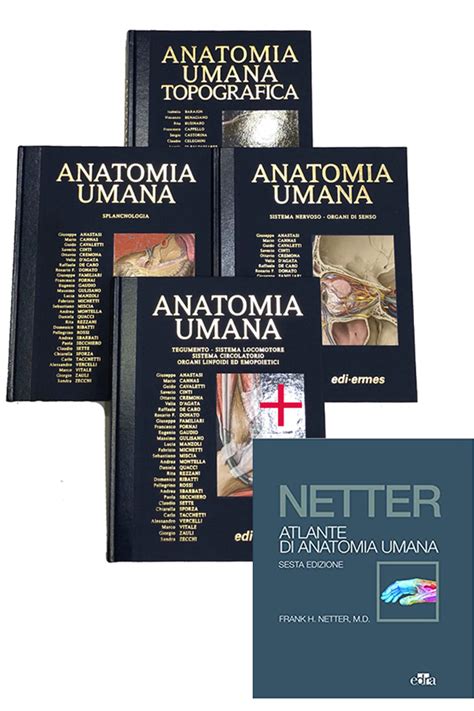 Read Online Anastasi Anatomia Umana 