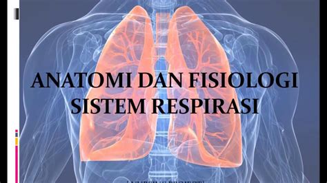 anatomi fisiologi sistem respirasi