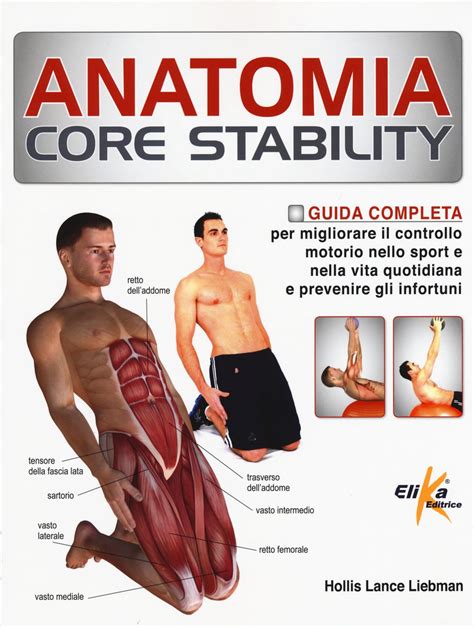 anatomia core stability guida completa per miglio