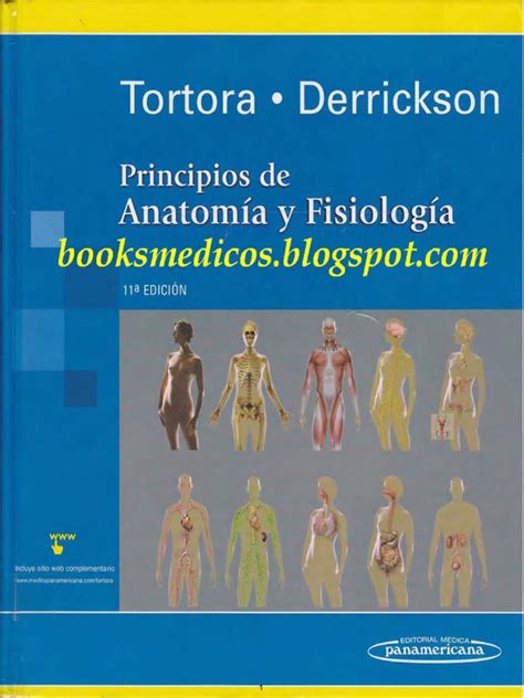 Anatomia De Tortora Gratis