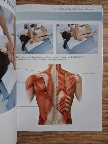 anatomia del massaggio guida completa
