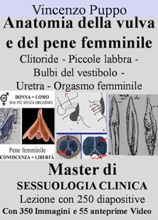 Anatomia Della Vulva